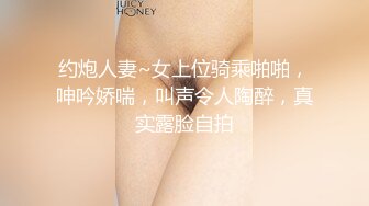 后入骚女的大屁股