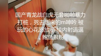 后入tt上加的姐姐