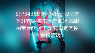 STP34369 糖心Vlog 双洞齐下3P前后夹击反差御姐 高跟吊带黑丝骚丁 玩物母狗肉便器 黑椒盖饭