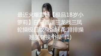 丝袜高跟妩媚御姐跟老外男友激情啪啪大战，又大又粗的鸡巴小嘴都塞不下，当秋千式蹂躏骚穴后入抽插浪叫不止