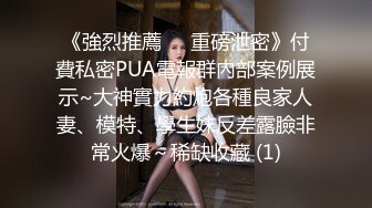 TV酱做你的动感女友