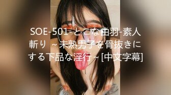 SOE-501-とこな由羽-素人斬り ～未熟男子を骨抜きにする下品な淫行～[中文字幕]