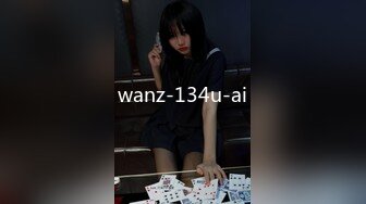 wanz-134u-ai