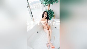 柳叶花态 李承美