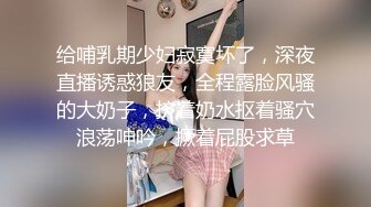 国模私房写真系列:灵灵