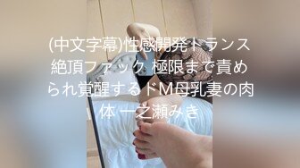 【极品高端泄密】极品爆乳快手超级女神『我是洋洋』约炮粉丝啪啪 极品爆乳 后入挺炮啊啊浪叫 三点全露 高清720P版