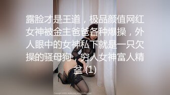 露脸才是王道，极品颜值网红女神被金主爸爸各种爆操，外人眼中的女神私下就是一只欠操的骚母狗，穷人女神富人精盆 (1)