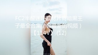 重磅福利私房三人组经典作品-诱骗MJ丰满空姐蜘蛛侠打扮女主身材极其丰满职业空姐多机位高清拍摄