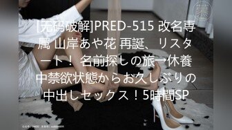 [无码破解]PRED-515 改名専属 山岸あや花 再誕、リスタート！ 名前探しの旅→休養中禁欲状態からお久しぶりの中出しセックス！5時間SP