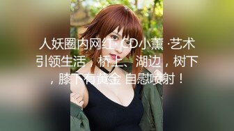 韵味十足！高颜值TS 小柔 付费长视频，秘书情趣女仆黑丝 (1)