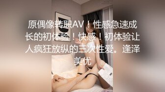 被我摧殘的小熊