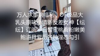 29岁少妇车震