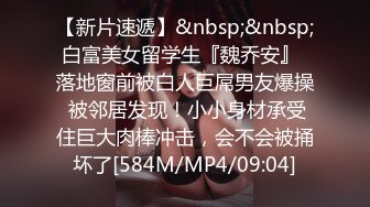 白鹿你的旗袍装小秘书