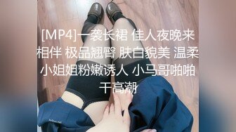 [MP4]一袭长裙 佳人夜晚来相伴 极品翘臀 肤白貌美 温柔小姐姐粉嫩诱人 小马哥啪啪干高潮