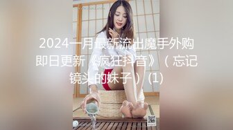 STP31739 长治传媒 CZ003 美妻蜜月的爱抚 夏雨荷