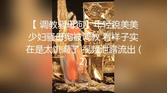 STP14449 麻豆三十天企划第十二天Day12 主观视角的情欲诱惑—流行会过去风格会永存