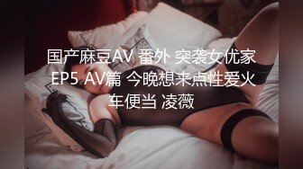 国产麻豆AV 番外 突袭女优家 EP5 AV篇 今晚想来点性爱火车便当 凌薇