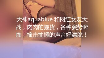 大神aquablue 和网红女友大战，肉肉的骚货，各种姿势噼啪，撞击抽插的声音好清脆！