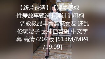 「国产AV主题秀——我眼中的极品美乳」完美乳型小姐姐主题合集⑦【20V】 (8)