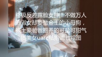 【最强AI】大师级AI绘图大合集，重磅核弹第二弹Vol.2