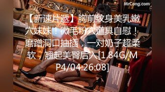 收集的一些淫妻BBC题材的合集2【292V】 (240)