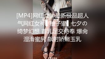 我的女仆哪有这么骚 二次元老婆穿越现实帮我吹-黎娜