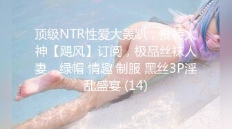 顶级NTR性爱大轰趴，推特大神【飓风】订阅，极品丝袜人妻，绿帽 情趣 制服 黑丝3P淫乱盛宴 (14)