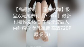 【高颜萝莉❤️重磅核弹】极品双马尾萝莉『Asuku』最新付费性爱私拍 车震无套后入 内射粉穴 美乳翘臀 高清720P原版 (3)