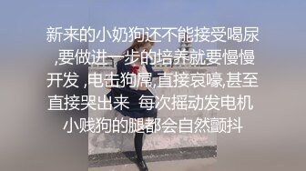 【自整理】新交的女朋友比妓女还骚，三洞打开，各种玩法6的起飞，直接射到菊花里，来个精液灌肠！【NV】 (53)