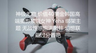 神极尤物 价值40美金韩国高端摄影顶级女神 Yeha 绑架主题 无敌性感饱满嫩蚌 幻想联翩过分香艳