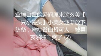 STP22586 渔网情趣装 D罩杯粉乳 风骚小姐姐遇上打桩机 激情碰撞 骚叫震天响 注定一场视觉性爱盛宴