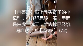 调教女友奴，黑丝情趣小母狗，淫声荡语调教口交大鸡巴舔蛋蛋