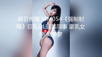 麻豆传媒 MM054《强制射精》巨乳OL强暴同事 豪乳女神 吴梦梦