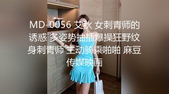 国产AV 蜜桃影像传媒 PMC102 欲罢不能爆操结婚不久的大嫂 艾玛