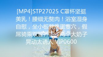 [MP4]STP27025 C罩杯坚挺美乳！腰细无赘肉！浴室湿身自慰，坐小板凳跳蛋塞穴，假屌骑乘双管齐下，两个大奶子晃动太诱人 VIP0600