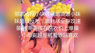 Al&mdash;成果男友视角激情中出